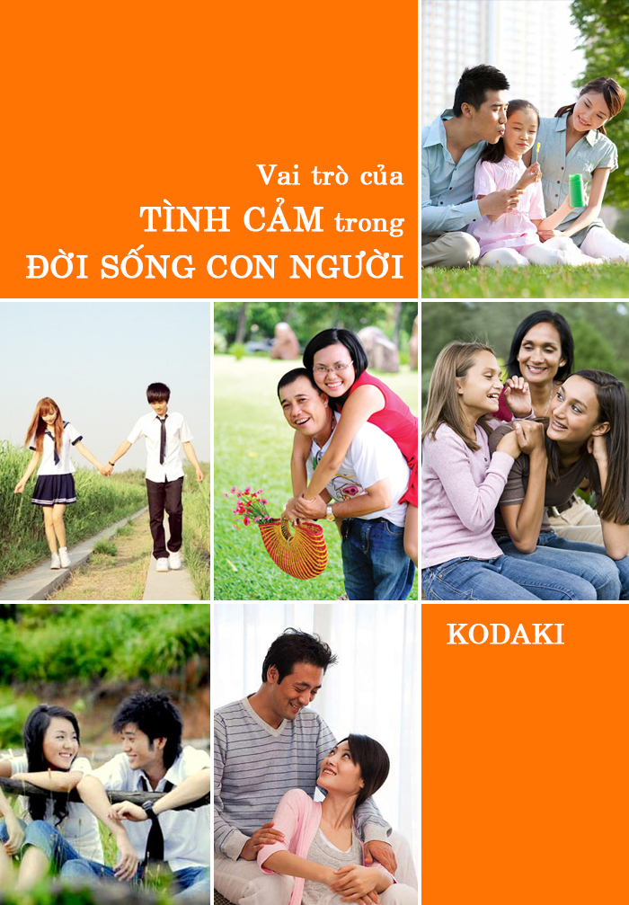 Vai-tro-cua-tinh-cam-trong-doi-song-con-nguoi